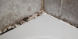 Μούχλα στις ενώσεις των υλικών στο μπάνιο 