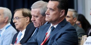 Ο Άδωνις Γεωργιάδης