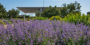 Το ανθισμένο Πάρκο Σταύρος Νιάρχος