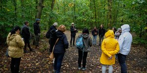 Φωτ. αρχείου: Εκδρομείς σε δάσος, στο Πότσνταμ της Γερμανίας (AP Photo/Ebrahim Noroozi)