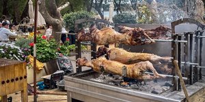 Φωτογραφία: Shutterstock