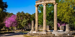 Τα ερείπια της Αρχαίας Ολυμπίας με ανθισμένη κουτσουπιά