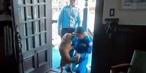 Αστροναύτης σκύλος