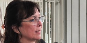 Βασαρά για Καρυστιανού