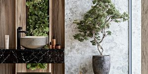 Φυτά στο μπάνιο/ Φωτογραφία: Unsplash