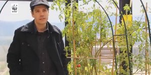 O CEO που έστησε μαντρί σε ταράτσα στους Αμπελόκηπους