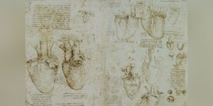 Οι κοιλίες της καρδιάς σε τομή (1511–1513) του Λεονάρντο ντα Βίντσι