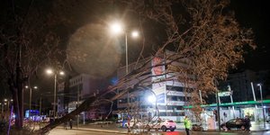 Πτώση δένδρου στην Πειραιώς