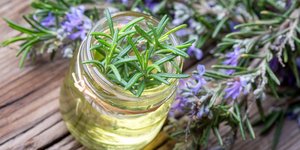 δεντρολίβανο