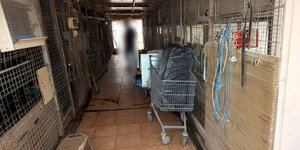 διαδρομος καροτσι