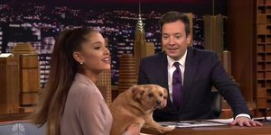 H Αριάνα Γκράντε με τον σκύλο της στο «The Tonight Show»