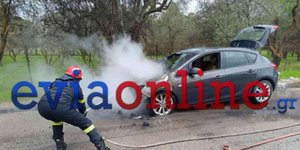 Φωτιά σε ΙΧ στην Εύβοια