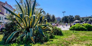  (ΓΙΩΡΓΟΣ ΚΟΝΤΑΡΙΝΗΣ/EUROKINISSI)