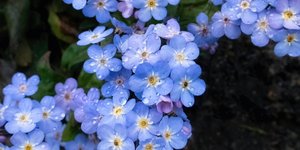 Φωτογραφία: Shutterstock