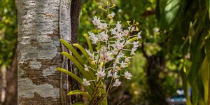 Φωτογραφία: Shutterstock