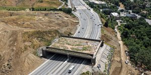 Η μεγαλύτερη διάβαση άγριας ζωής στον κόσμο αποκτά επιτέλους ημερομηνία εγκαινίων