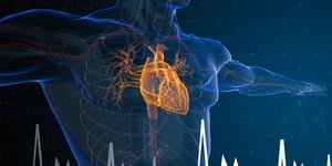 Πυρηνική Ιατρική & καρδιαγγειακές παθήσεις