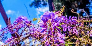 Πάσχα, ανοιξιάτικος καιρός – Φωτ: ΓΙΩΡΓΟΣ ΚΟΝΤΑΡΙΝΗΣ / EUROKINISSI