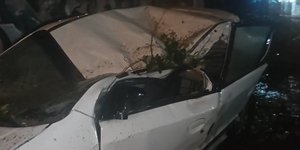 Κακοκαιρία Erminio: Δέντρο ισοπέδωσε αυτοκίνητο στην Ηλιούπολη