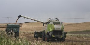 Καλλιέργειες 