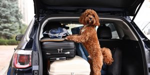 Ετοιμοι για ταξίδι