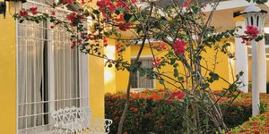 κήπος ανθισμένος σπίτι με κίτρινο τοίχο