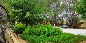 Κήπος που ποτίζεται από το ανακτημένο νερό της μονάδας στο φυτώριο Δήμου Αθηναίων