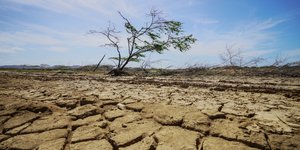 Ξηρασία