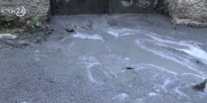 Υγρό Κυψέλη