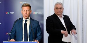 Πέτερ Μαγιάρ, Βίκτορ Όρμπαν