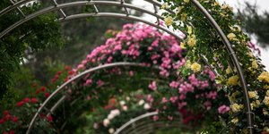 Μεταλλική αψίδα για κήπο