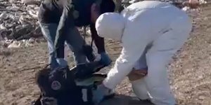 οστά μεξικό