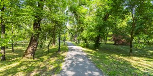 Μονοπάτι περιπάτου 