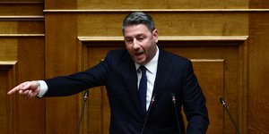 Ο Νίκος Ανδρουλάκης στο βήμα της Ολομέλειας