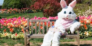 To λαγουδάκι του Πάσχα, μια από τις πιο αναγνωρίσιμες φιγούρες της σύγχρονης λαϊκής κουλτούρας, δεν αποτελεί απλώς ένα αθώο σύμβολο παιδικής χαράς και σοκολατένιων αυγών / SHUTTERSTOCK