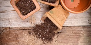 Όταν έρθει η στιγμή να ανανεώσετε τις γλάστρες σας, μπορεί να αναρωτιέστε αν χρειάζεται να αντικαταστήσετε το χώμα σας / SHUTTERSTOCK