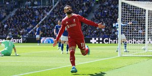 salax-metagrafes-arabia