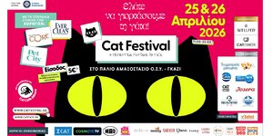 Cat Festival