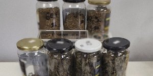 βαζακια ναρκωτικα