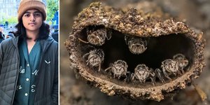 Ο νεαρός φωτογράφος άγριας ζωής Rithved Girish ανακηρύχθηκε Νέος Φωτογράφος Κοντινού Πλάνου της Χρονιάς 7 για την εικόνα του «Guardians of the Hive» / INSTAGRAM