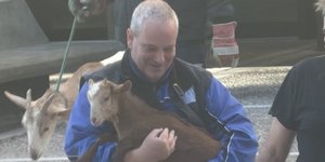 Καρέ καρέ η μεταφορά των κατσικών από το κτίριο στους Αμπελόκηπους