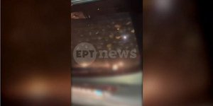 Ακτινίδια σε αυτοκίνητο