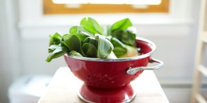 Bok choy