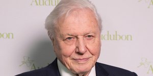 David Attenborough