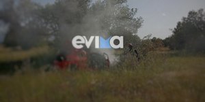 Αυτοκίνητο έπιασε φωτιά μετά από πρόσκρουση σε δέντρο στην Εύβοια