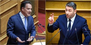 Άδωνις Γεωργιάδης, Νίκος Ανδρουλάκης
