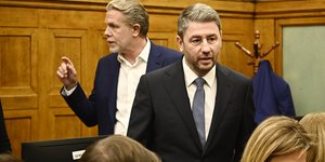 Παύλος Γερουλάνος, Νίκος Ανδρουλάκης