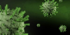 Hantavirus