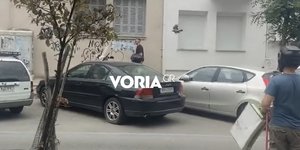 Κοράκι επιτίθεται σε περαστικούς στη Θεσσαλονίκη