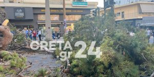 Στο εδώλιο οι κατηγορούμενοι για τη φονική πτώση δέντρου στο Ηράκλειο